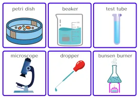 LABORATORY Flashcard Memory And Matching Game: 96 Cards (48 Pairs)