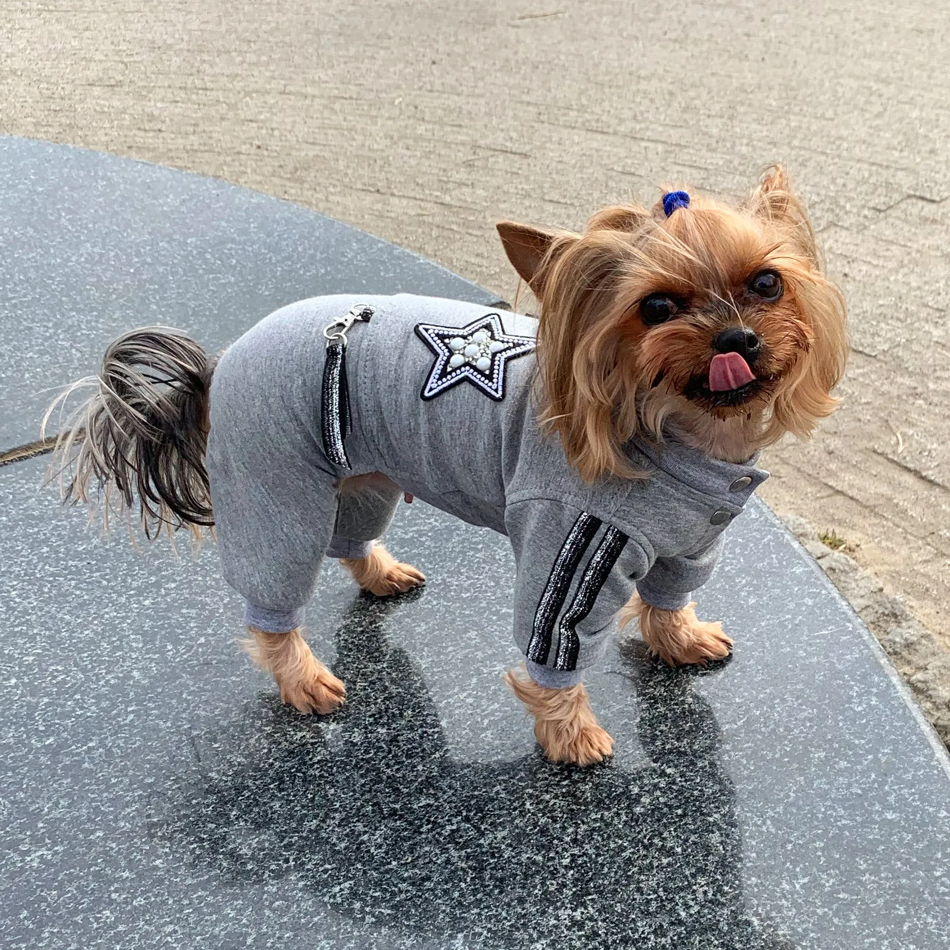 Soft cotton dog jumpsuit